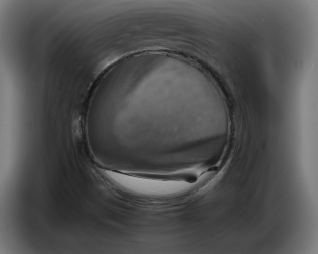 X0000086771497200705041457