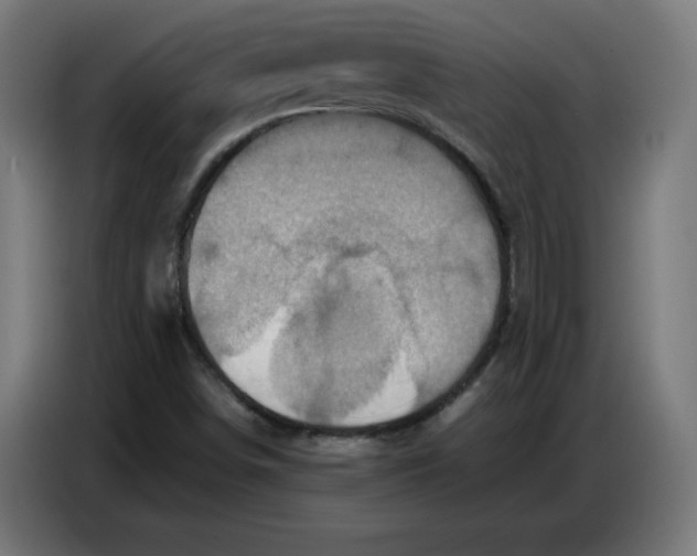 X0000086771498200705041457