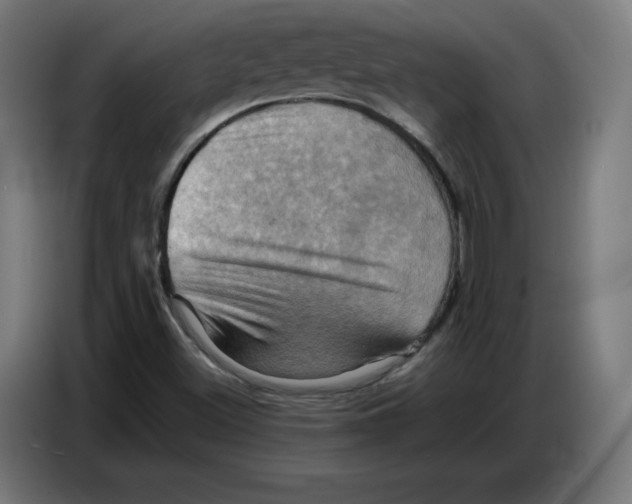 X0000086771500200705041457