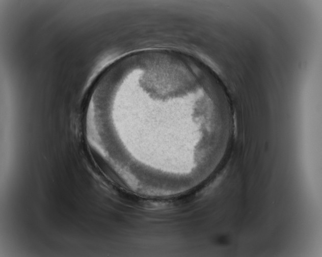 X0000086771501200705041457