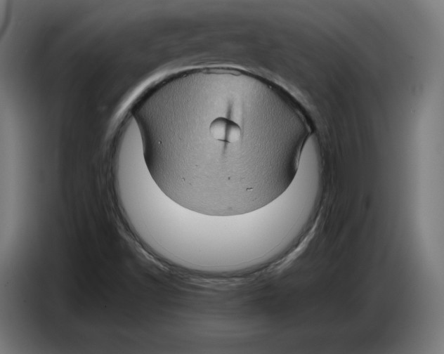 X0000086771502200705041457
