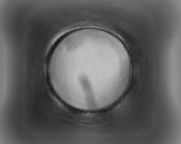 X0000086771503200705041457
