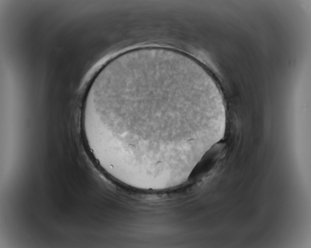 X0000086771504200705041457