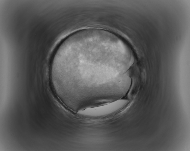 X0000086771506200705041457