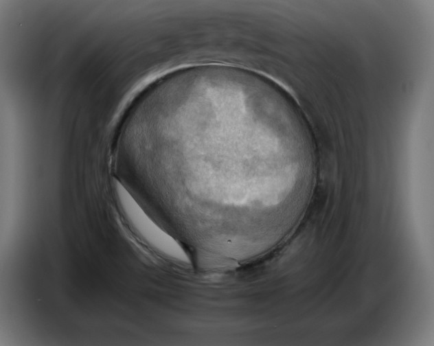 X0000086771507200705041457