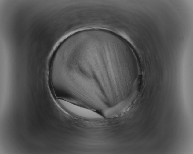 X0000086771508200705041457