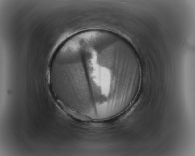 X0000086771509200705041457