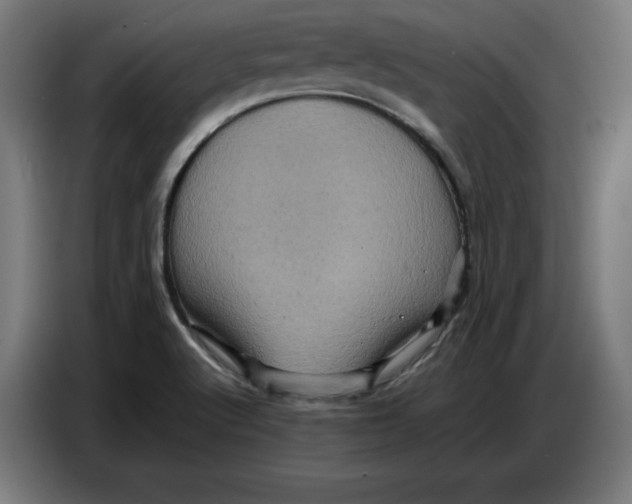 X0000086771512200705041458