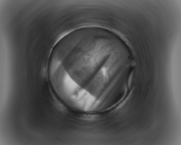X0000086771513200705041458