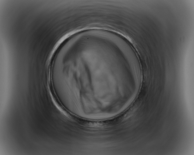 X0000086771515200705041458