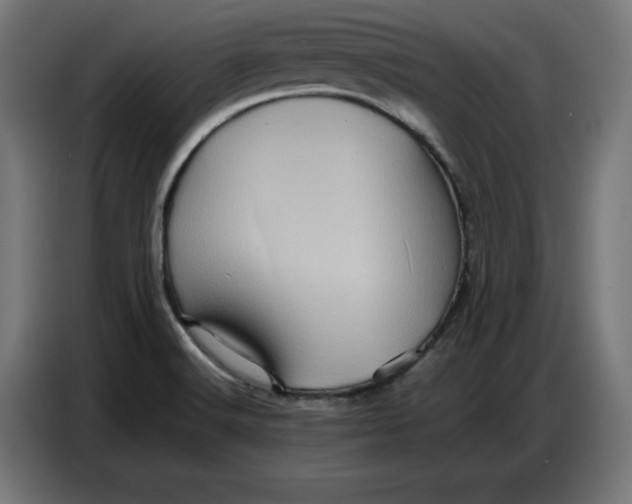 X0000086771516200705041458