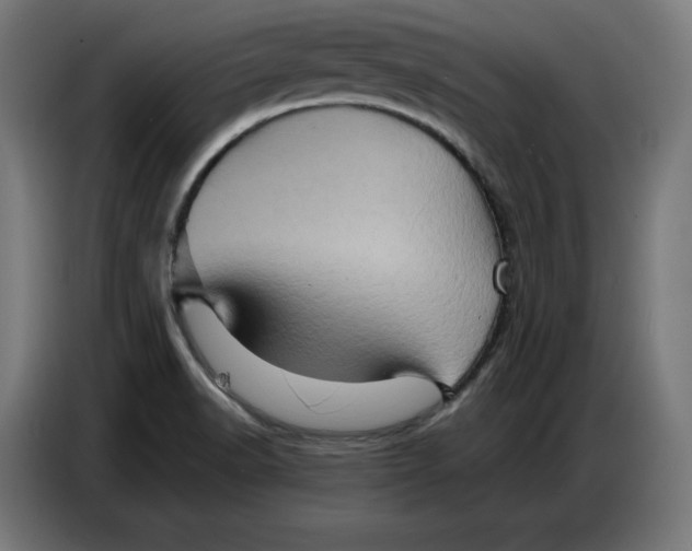 X0000086771518200705041458