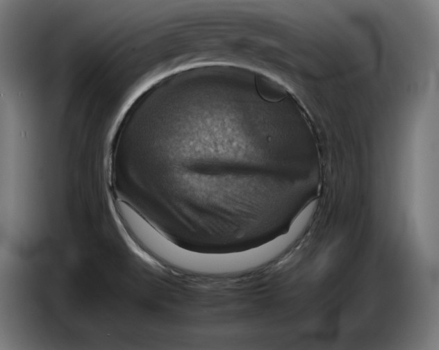 X0000086771519200705041458