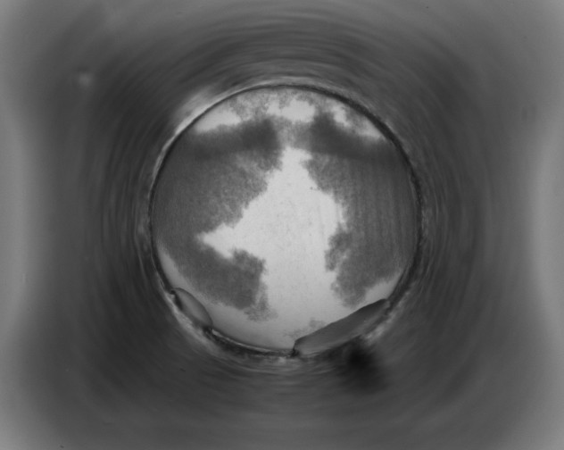 X0000086771521200705041458