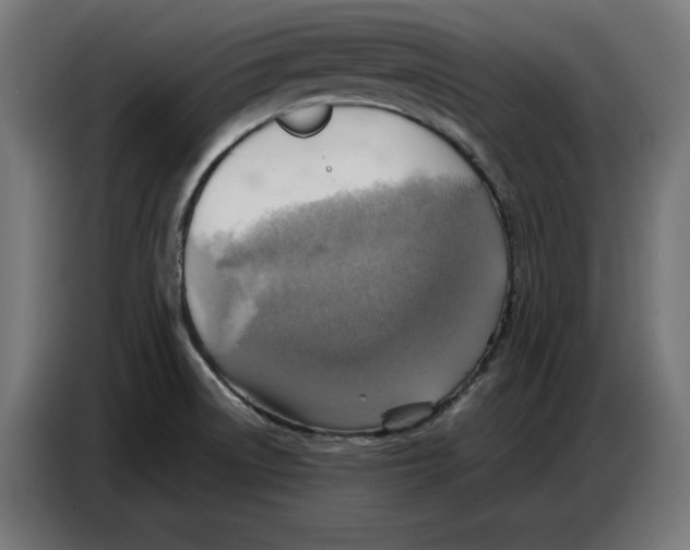 X0000086771522200705041458