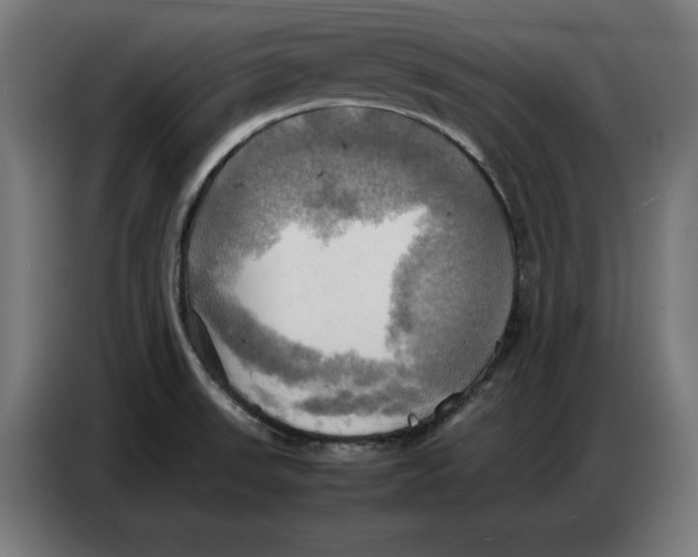 X0000086771523200705041458