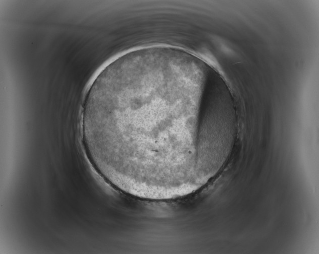 X0000086771524200705041458