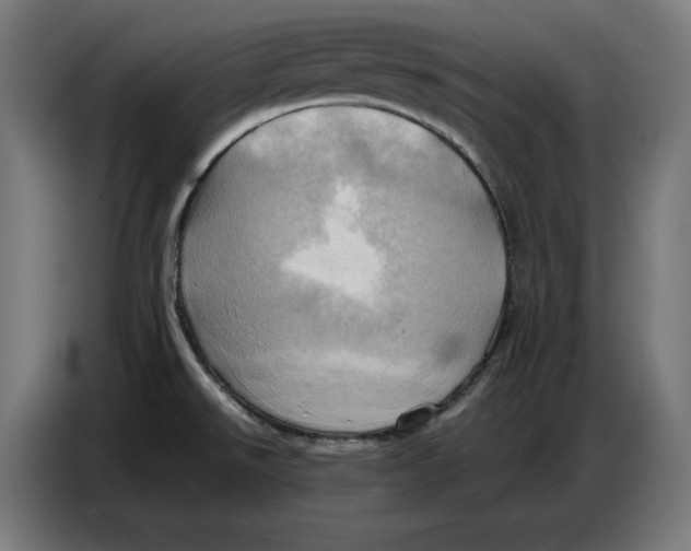 X0000086771526200705041458