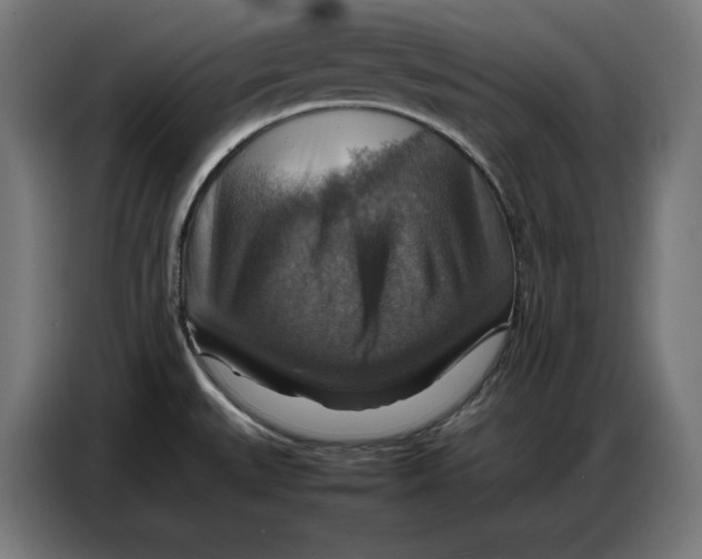 X0000086771527200705041458