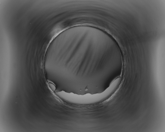 X0000086771529200705041458