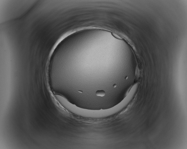 X0000086771530200705041458