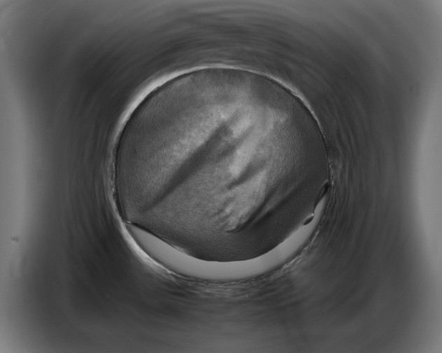 X0000086771531200705041458