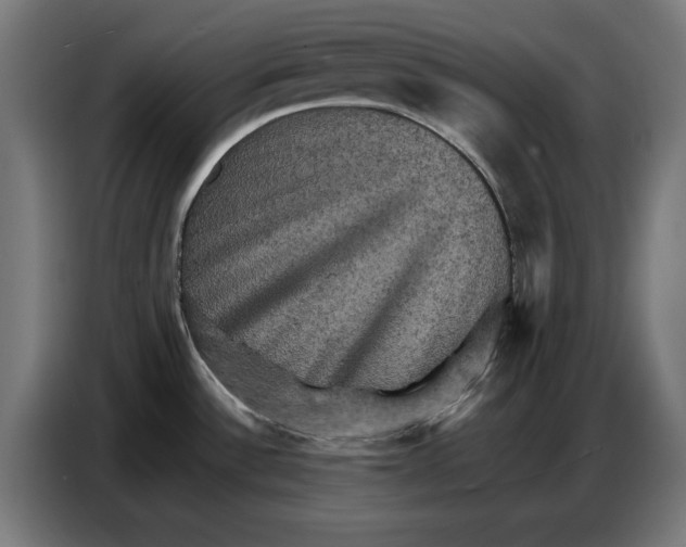 X0000086771532200705041458
