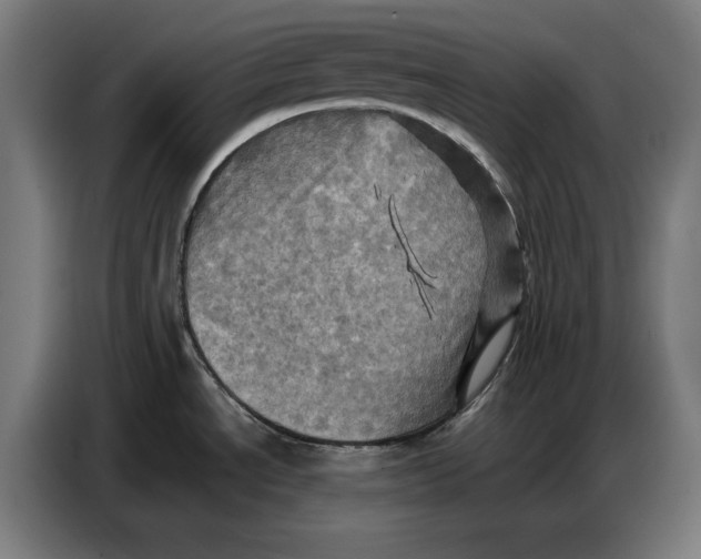 X0000086771534200705041458