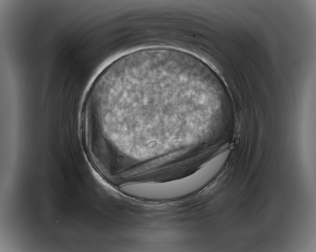 X0000086771535200705041458