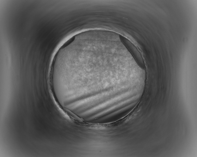 X0000086771536200705041458