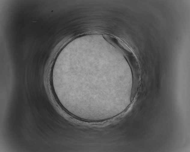 X0000086770001200705111744