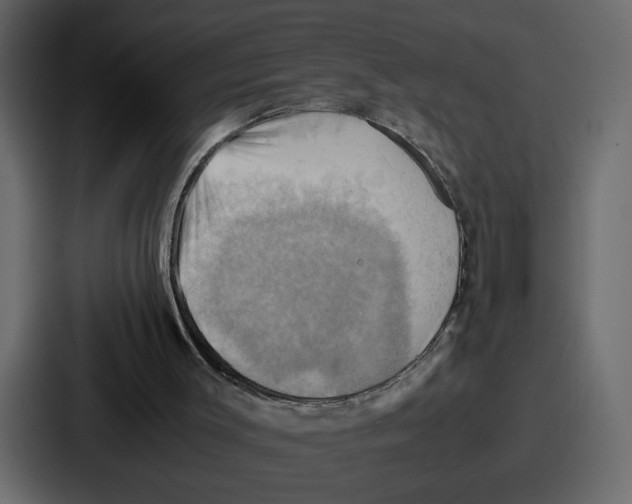 X0000086770003200705111744