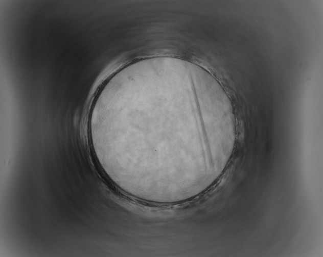 X0000086770004200705111744