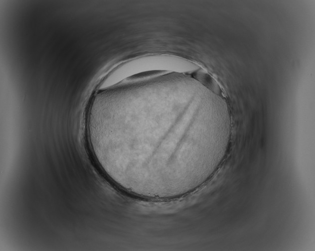X0000086770005200705111744
