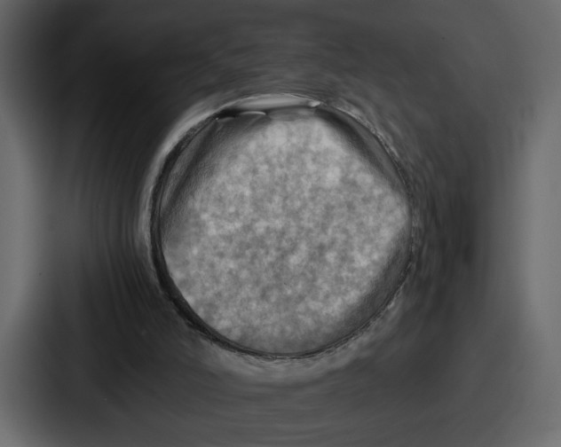 X0000086770006200705111744