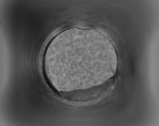 X0000086770007200705111744