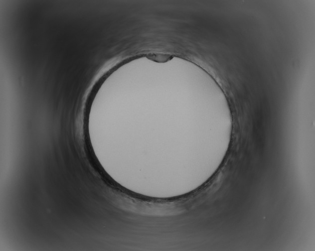 X0000086770008200705111744