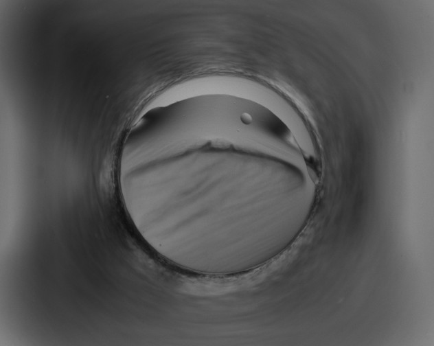 X0000086770009200705111744