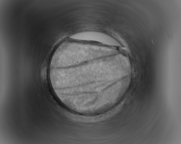 X0000086770010200705111744