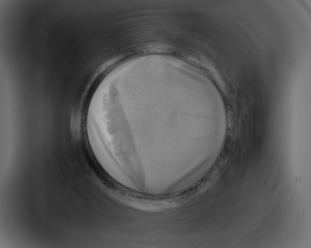 X0000086770012200705111744