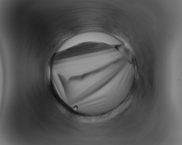 X0000086770013200705111744