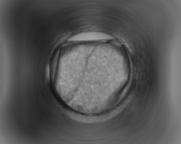 X0000086770014200705111744