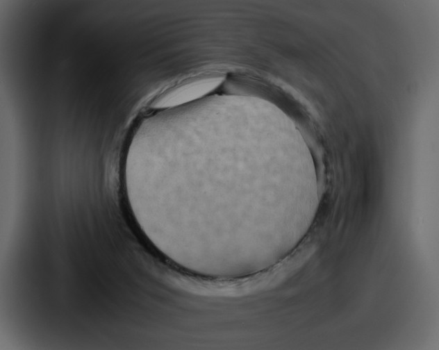 X0000086770015200705111744