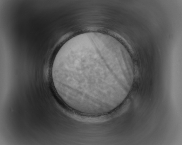 X0000086770016200705111744