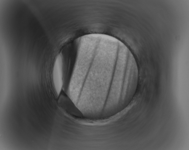X0000086770017200705111744