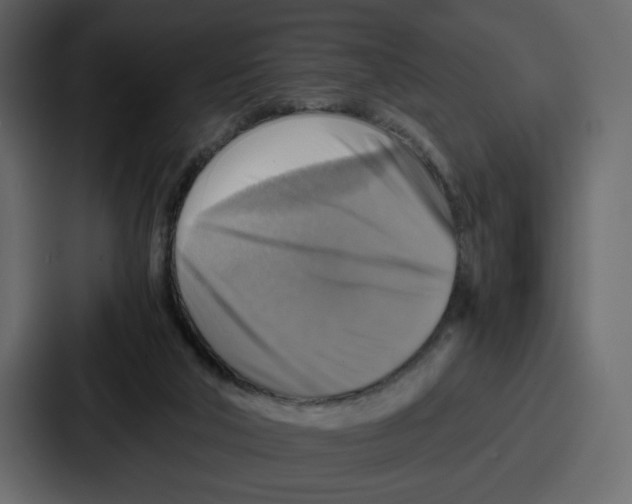 X0000086770018200705111744