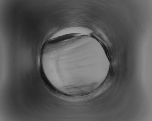 X0000086770019200705111744