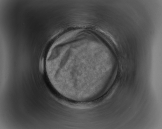 X0000086770020200705111744