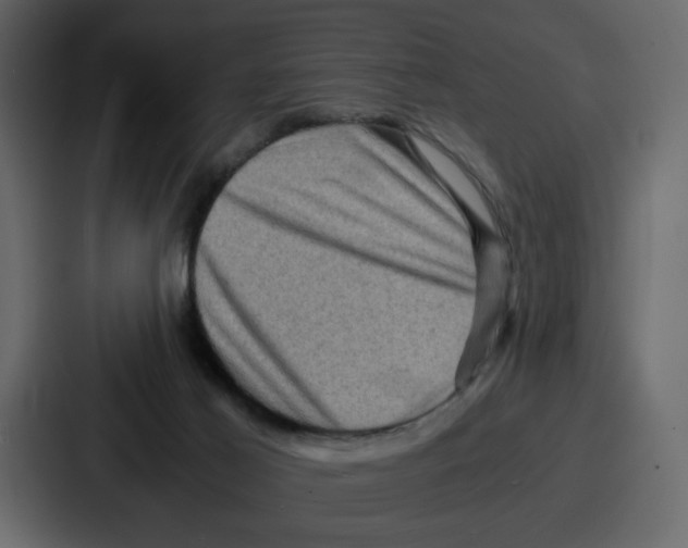 X0000086770021200705111744