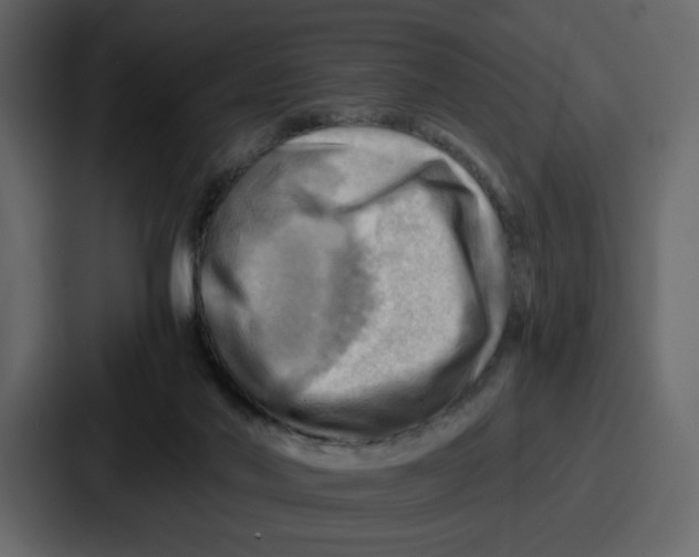 X0000086770022200705111744